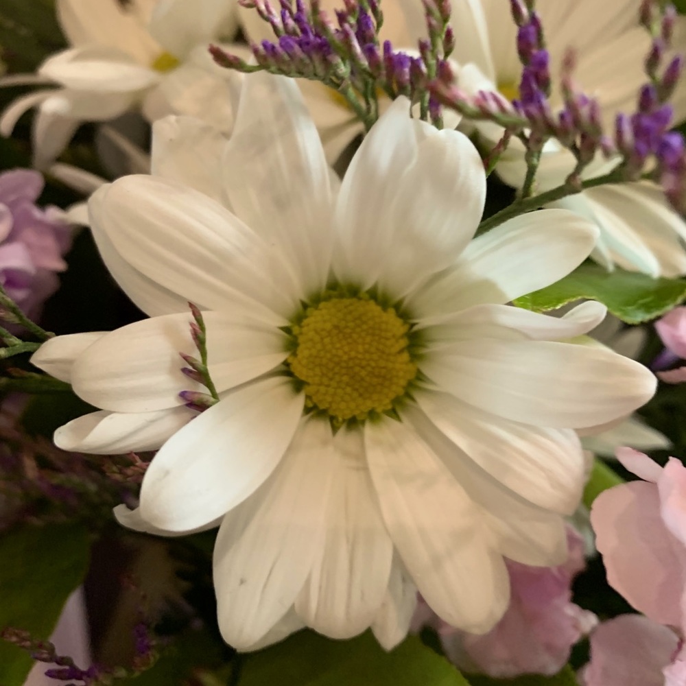 Meet your Posher, Lu